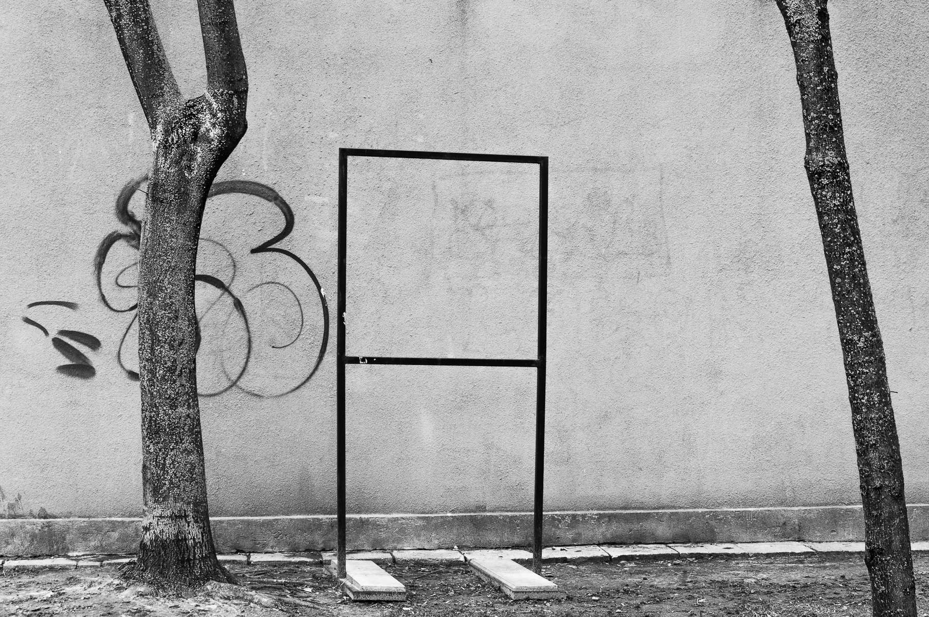 Adam Mazek Photography Warsaw minimalism 2016. Wall and the trees.