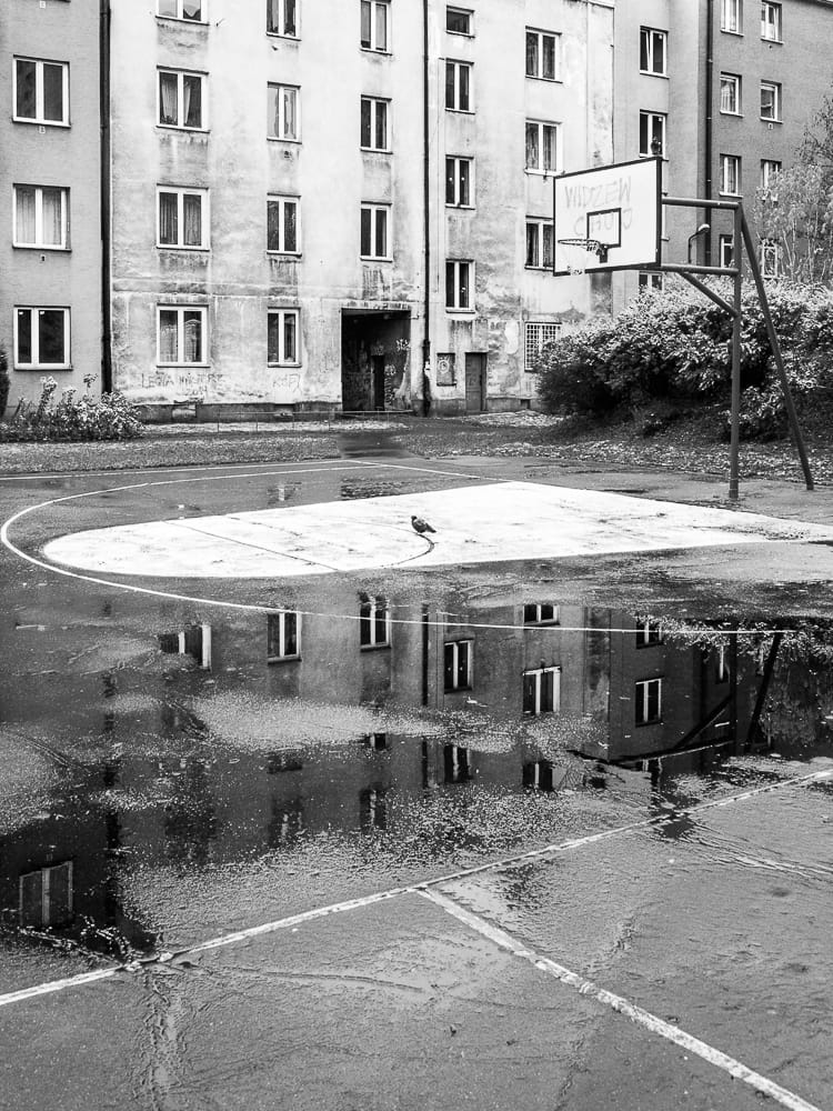 Adam Mazek Photography Warsaw minimalism 2016. Bird on the basketball pitch.