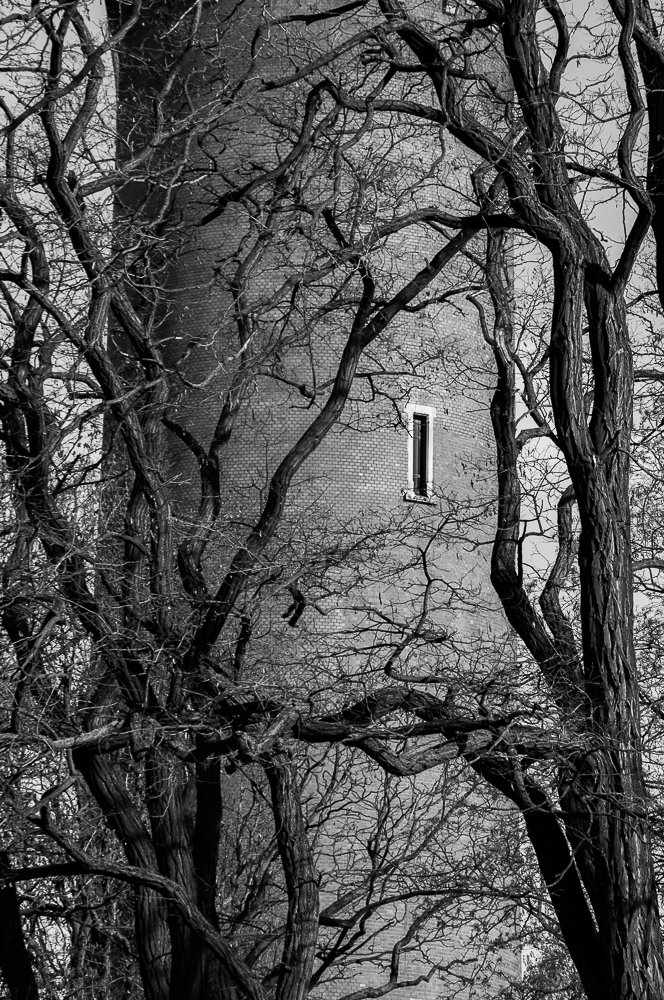 Adam Mazek Photography Warsaw 2017. Isolation. Minimalism. Scary, twisted trees and lonesome window.