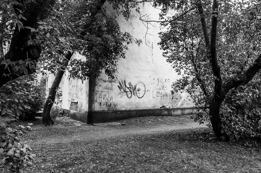 Adam Mazek Photography minimalism Warsaw 2017. Graffiti and the trees. Praga Poludnie. Grochow.