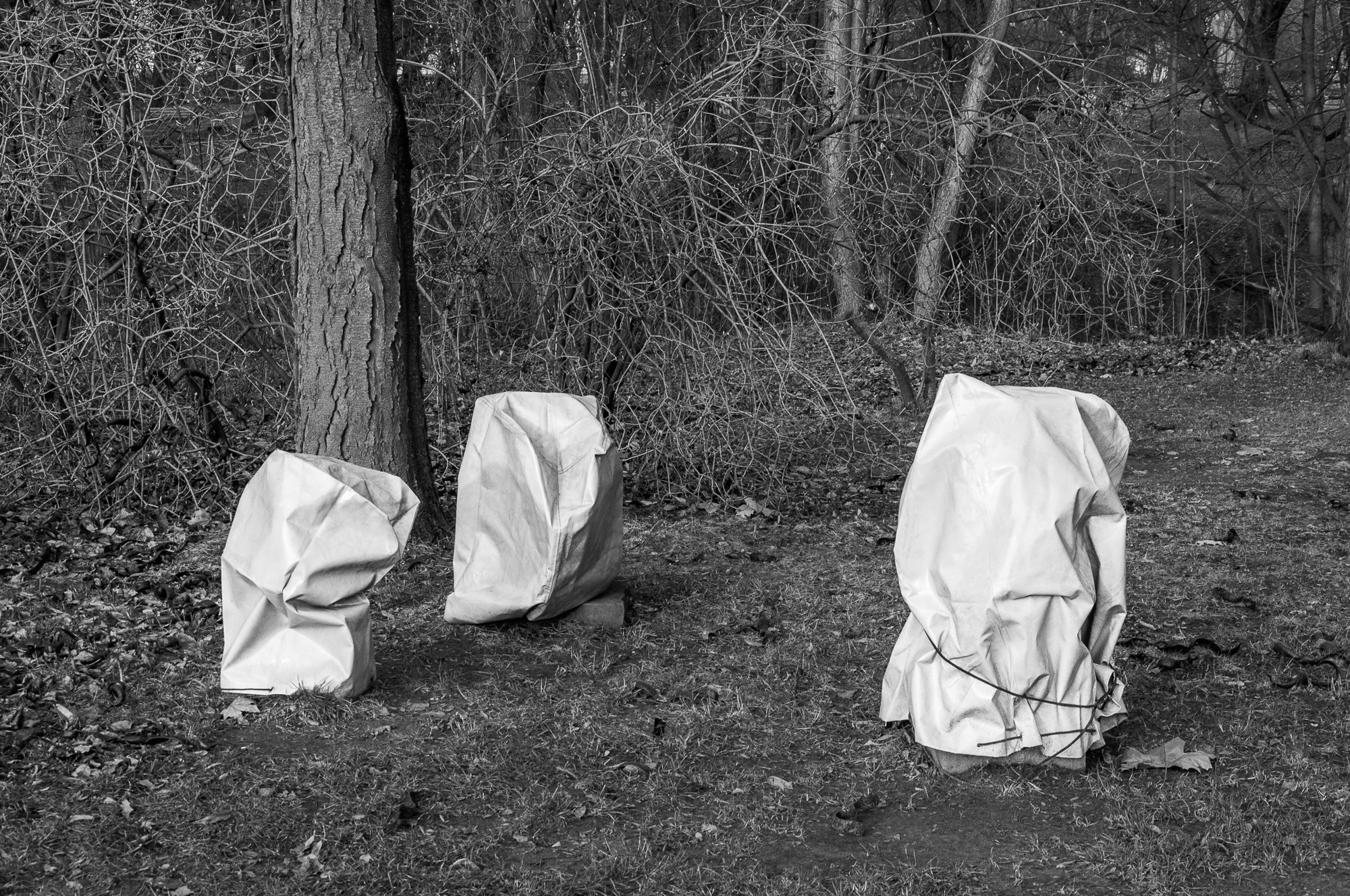 Adam Mazek Photography. Minimalism. Warsaw 2017. Three statues.