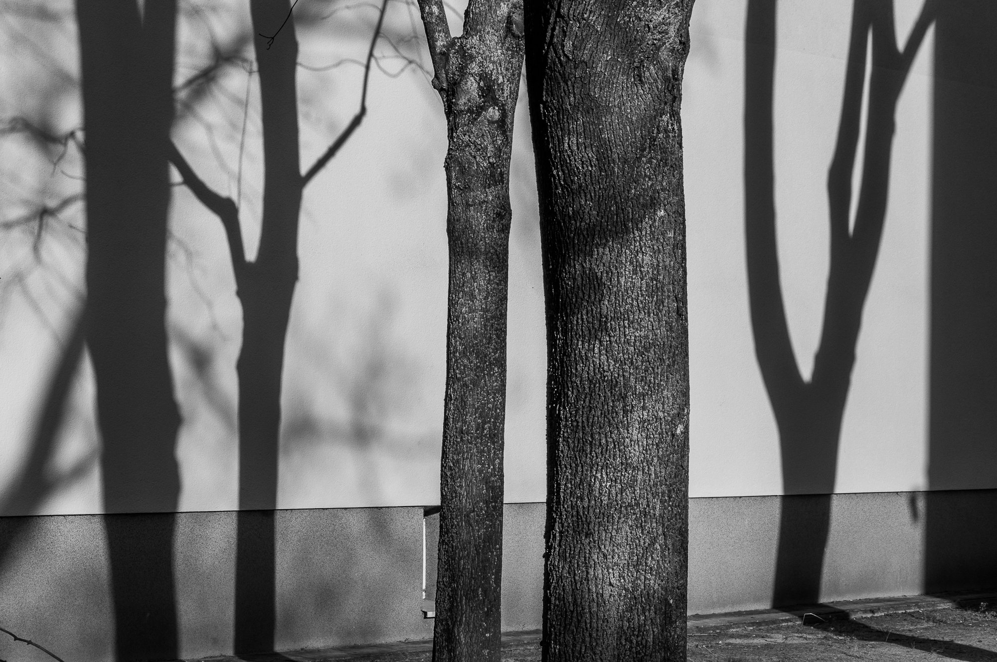 Adam Mazek Photography. Warsaw 2017. Shadows.