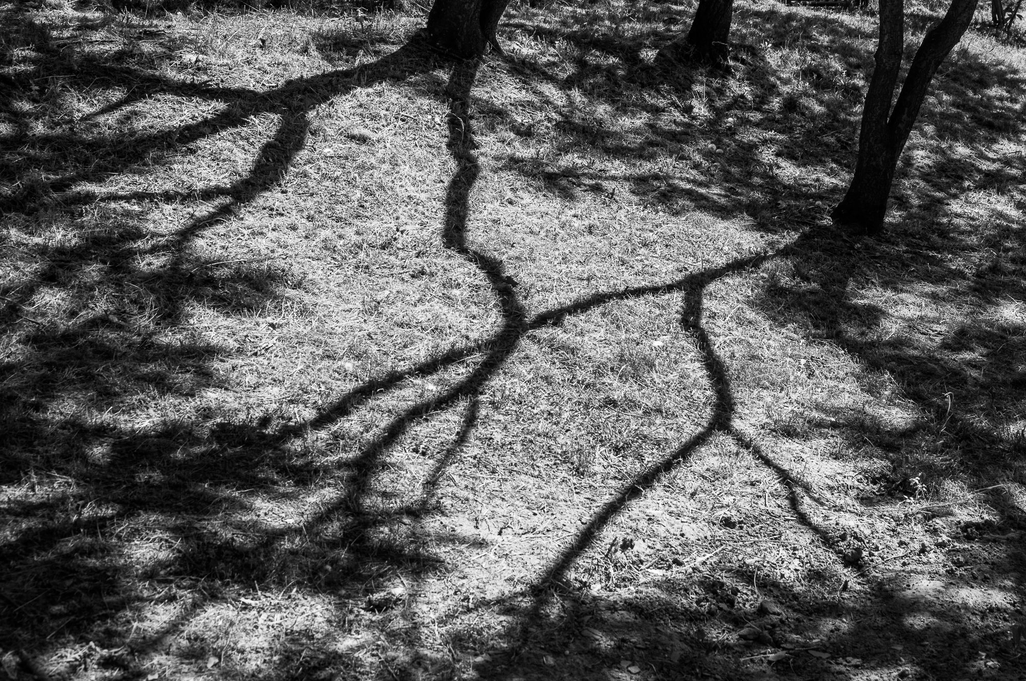 Adam Mazek Photography Warsaw 2018. Minimalism. Shadow.