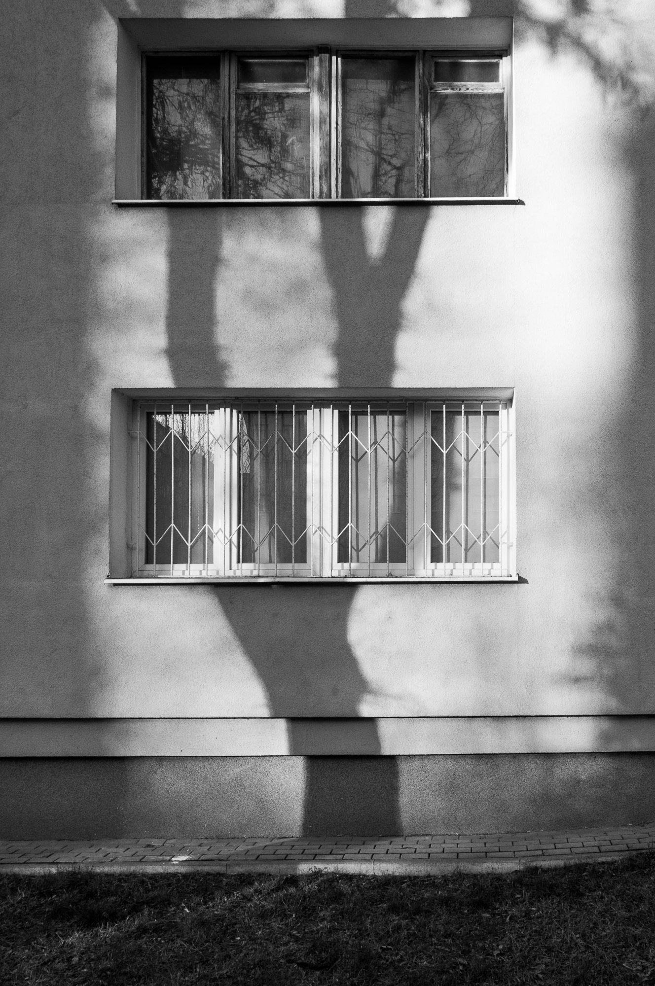 Adam Mazek Photography Warsaw 2016. Shadow of the tree.