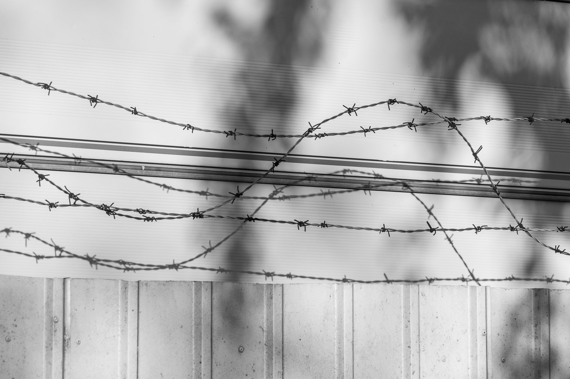 Adam Mazek Photography Warsaw 2018. Minimalism. Barbed wire.