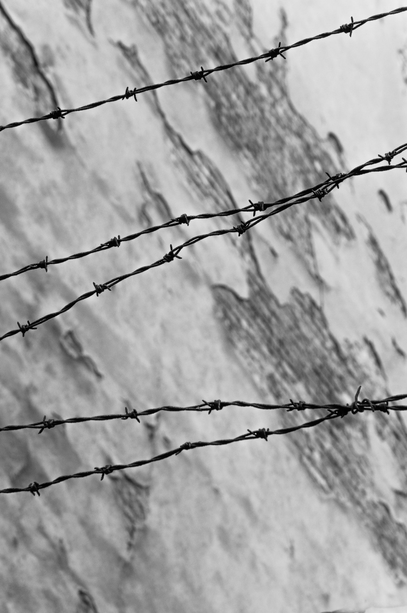 Adam Mazek Photography Warsaw 2016. Barbed wire.