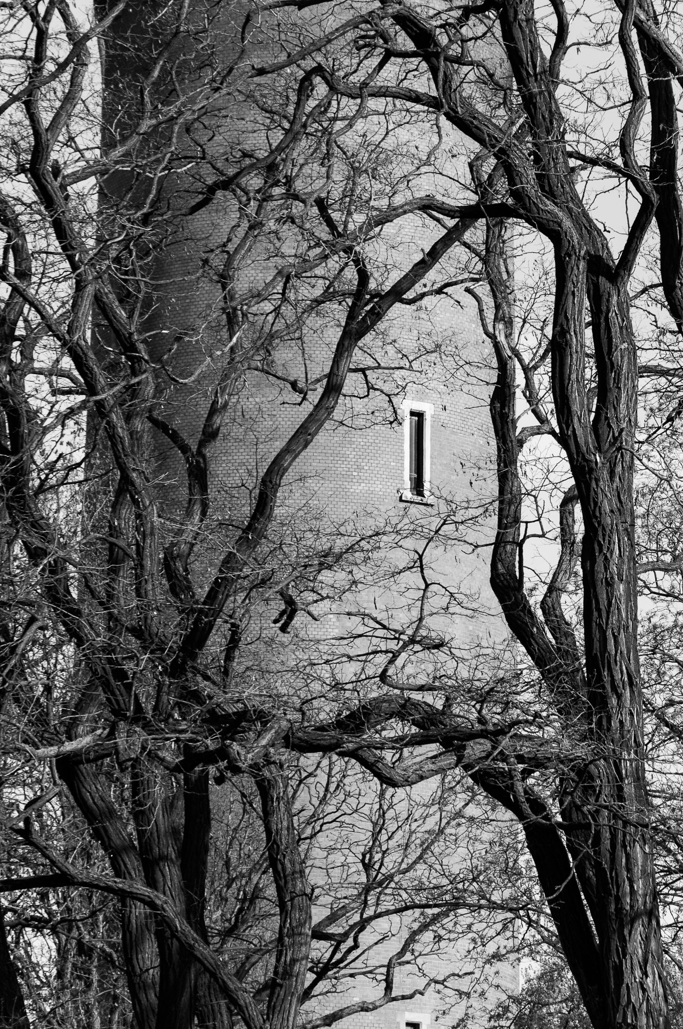 Adam Mazek Photography Warsaw 2017. Minimalism. Lonely window and the branches of trees. "Negation of the End." Inspired by Hiroshige. "Negacja Końca"