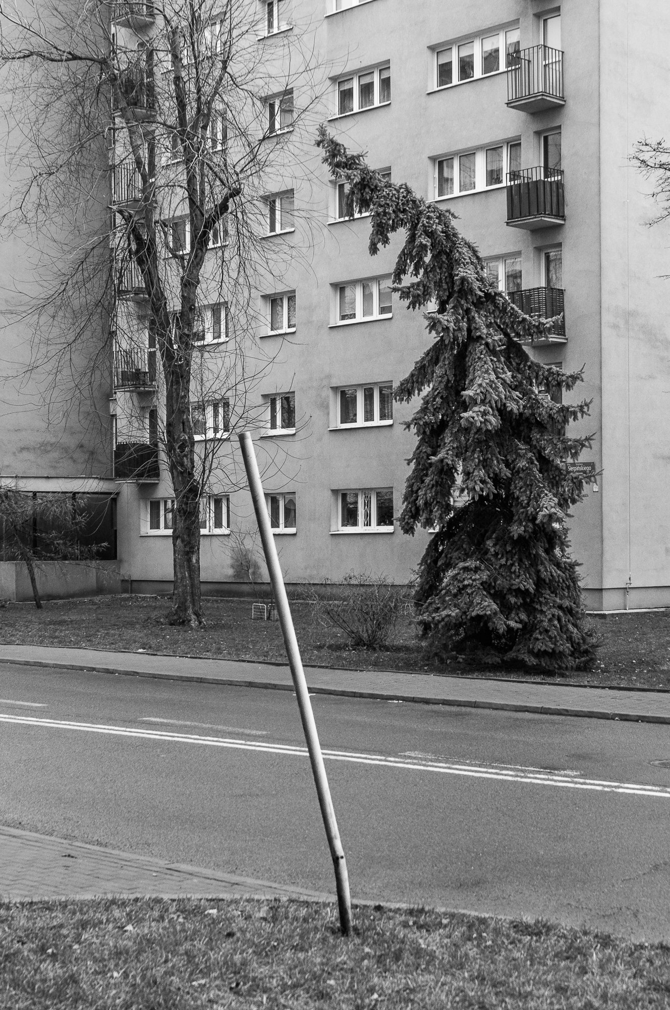 Adam Mazek Photography Warsaw 2018. Leaning tree and leaning post.