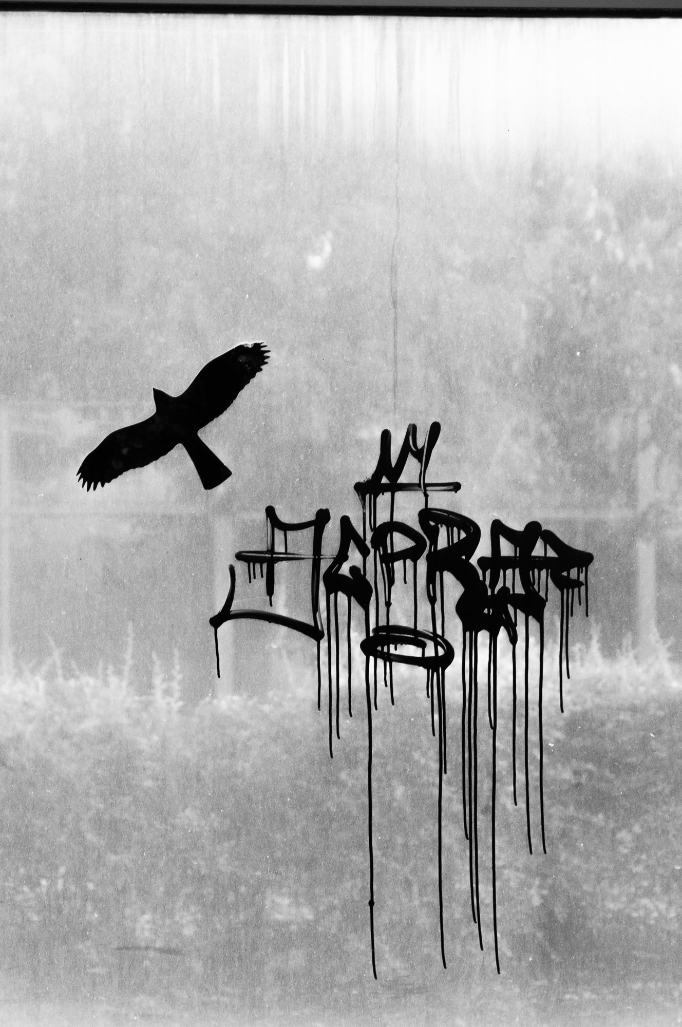 Adam Mazek Photography Warsaw 2018. Bird and graffiti. Minimalism.