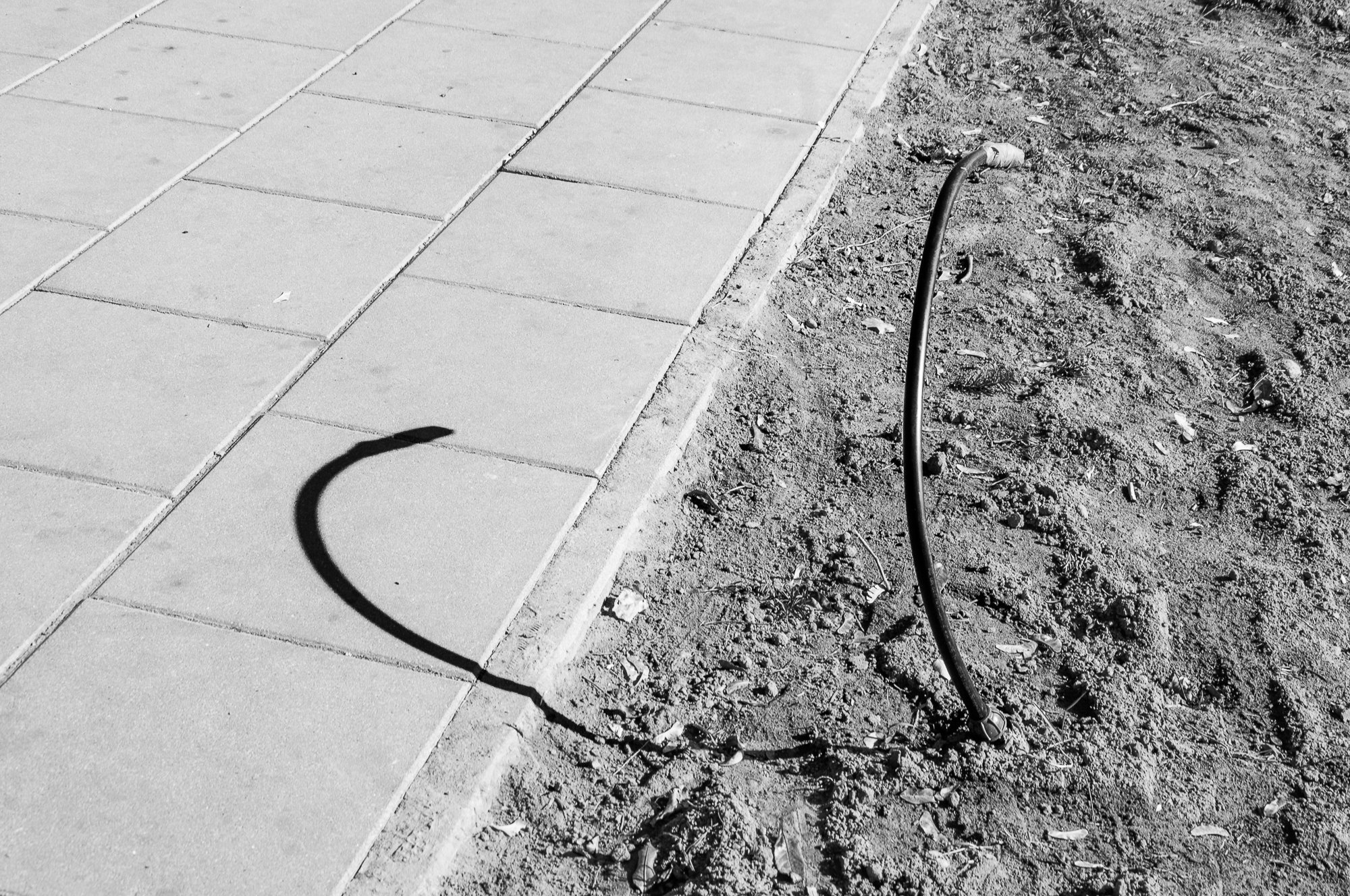 Adam Mazek Photography Warsaw 2018. Minimalism. Shadow of the snake.