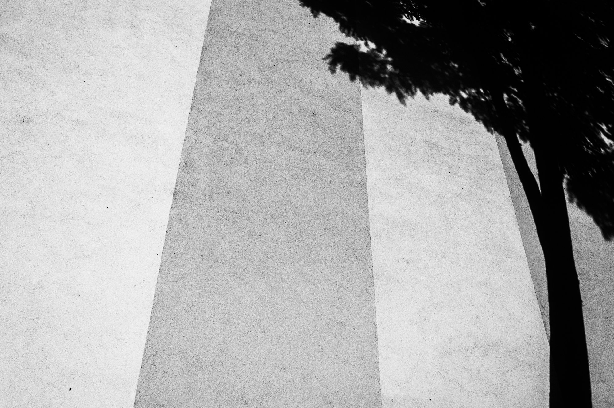 Adam Mazek Photography Warsaw (Warszawa) 2017. Minimalism. Geometry. Shadow of the tree on the wall.
