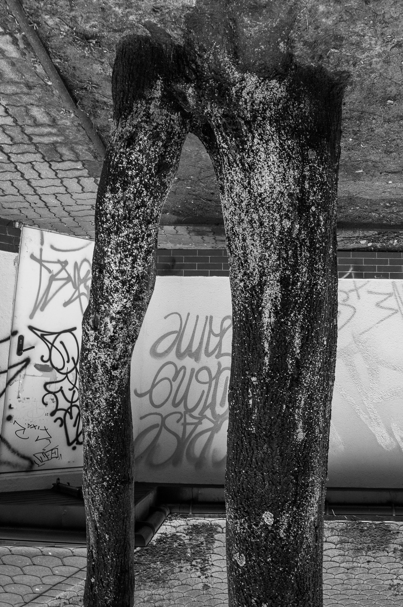 Adam Mazek Photography Warsaw (Warszawa) 2018. Body. Legs. Inspired by Hiroshige. Trees. Abstraction.