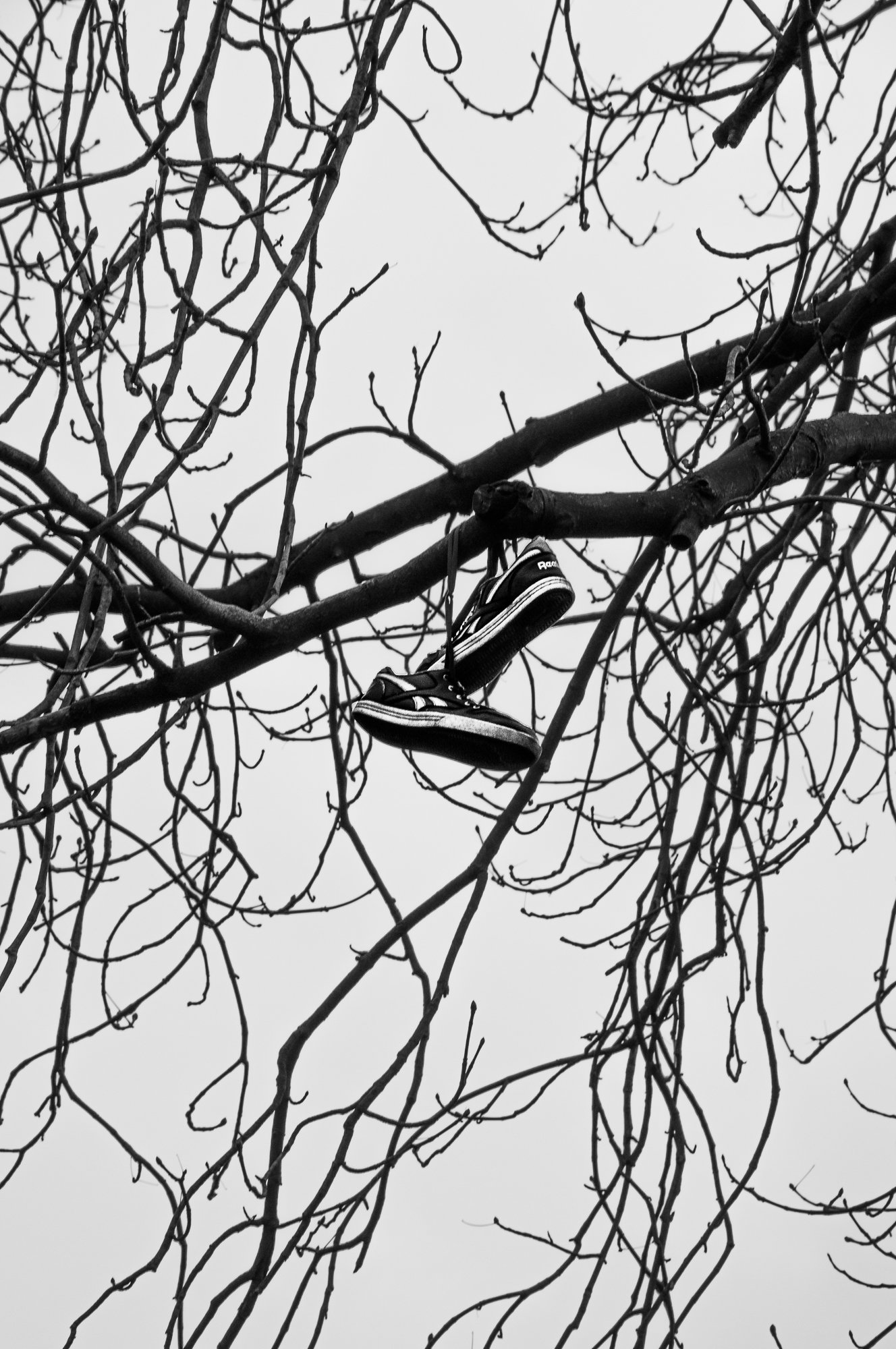 Adam Mazek Photography Warsaw (Warszawa) 2018. Post: "Outfit for street photography." Minimalism. Hanging sneakers on the tree.