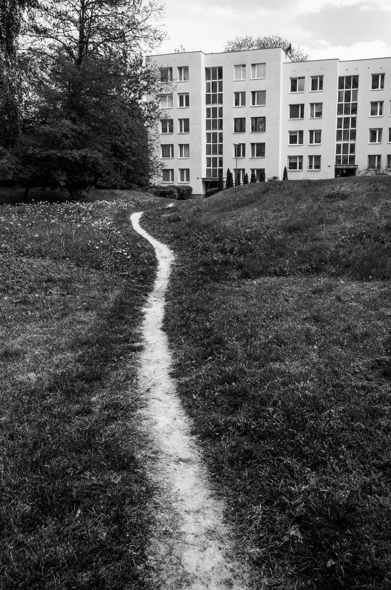 Adam Mazek Photography Warsaw (Warszawa) 2017. Post: "Another advantage of creating." Path. Minimalism.