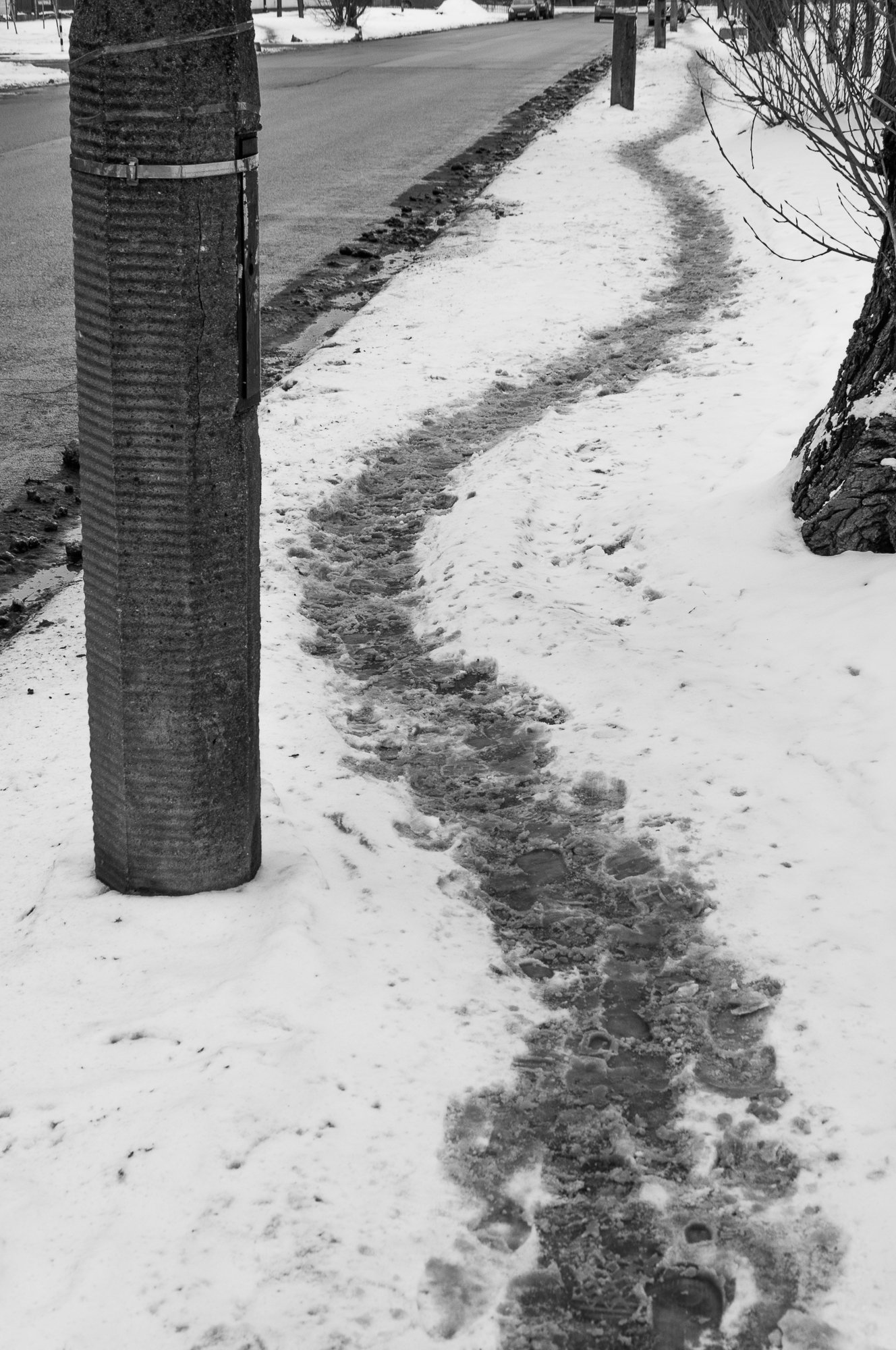 Adam Mazek Photography Warsaw (Warszawa) 2019. Post: "Another advantage of creating." Path in the snow. Minimalism. Portfolio: Minimalism, part XXVII.