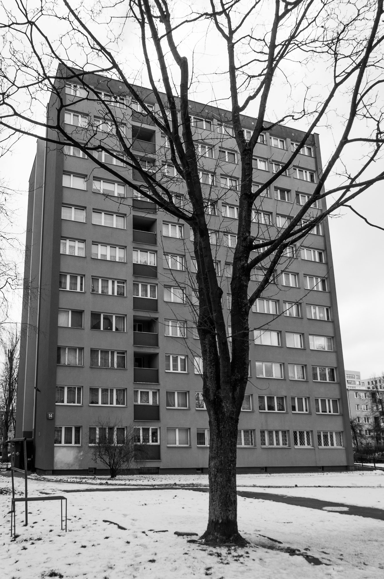 Adam Mazek Photography Warsaw (Warszawa) 2019. Post: "People are people." Tree and block of flats.