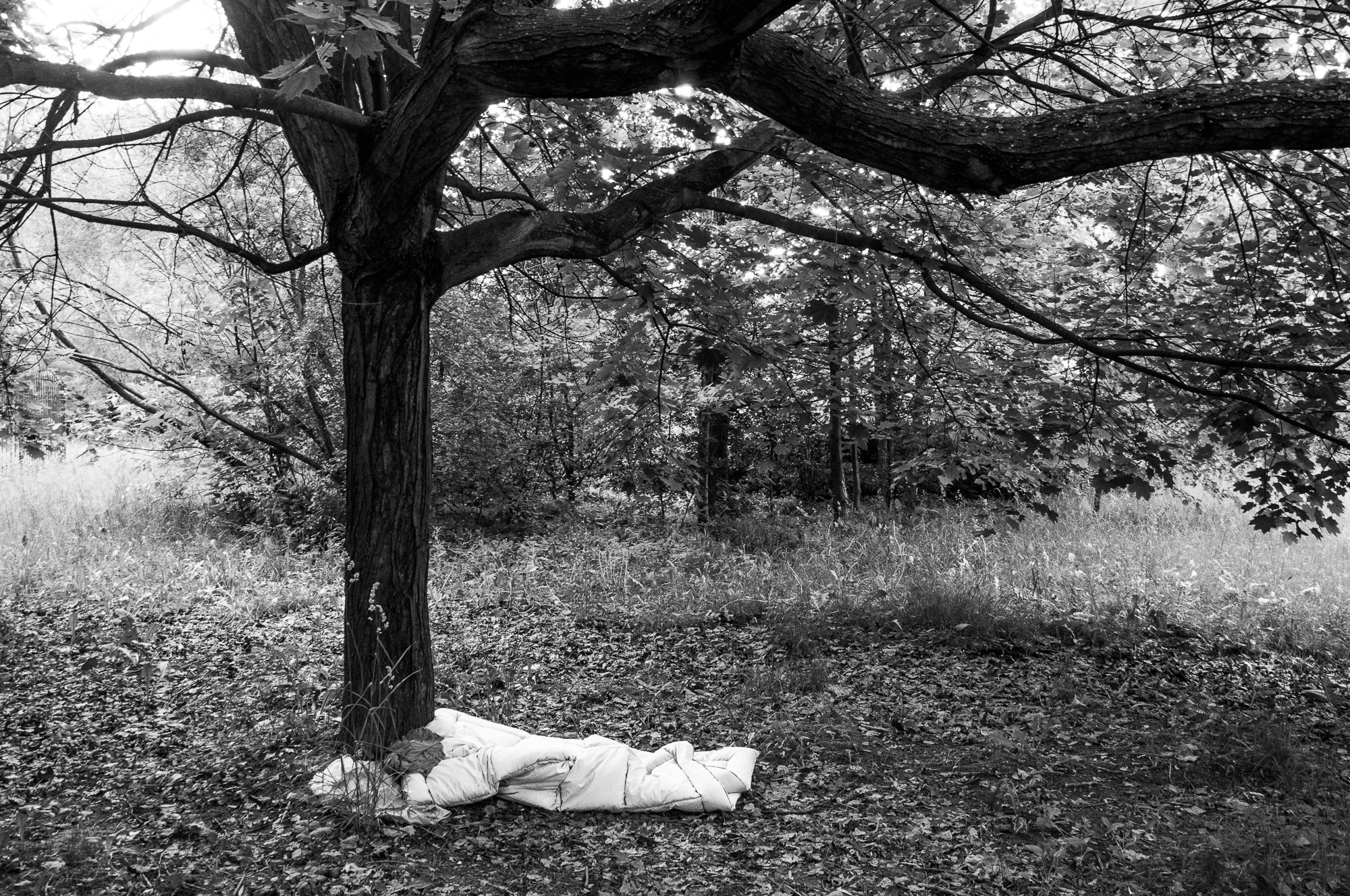 Adam Mazek Photography. Warsaw (Warszawa) 2017. Post: "Horror scene." Death body and the tree.
