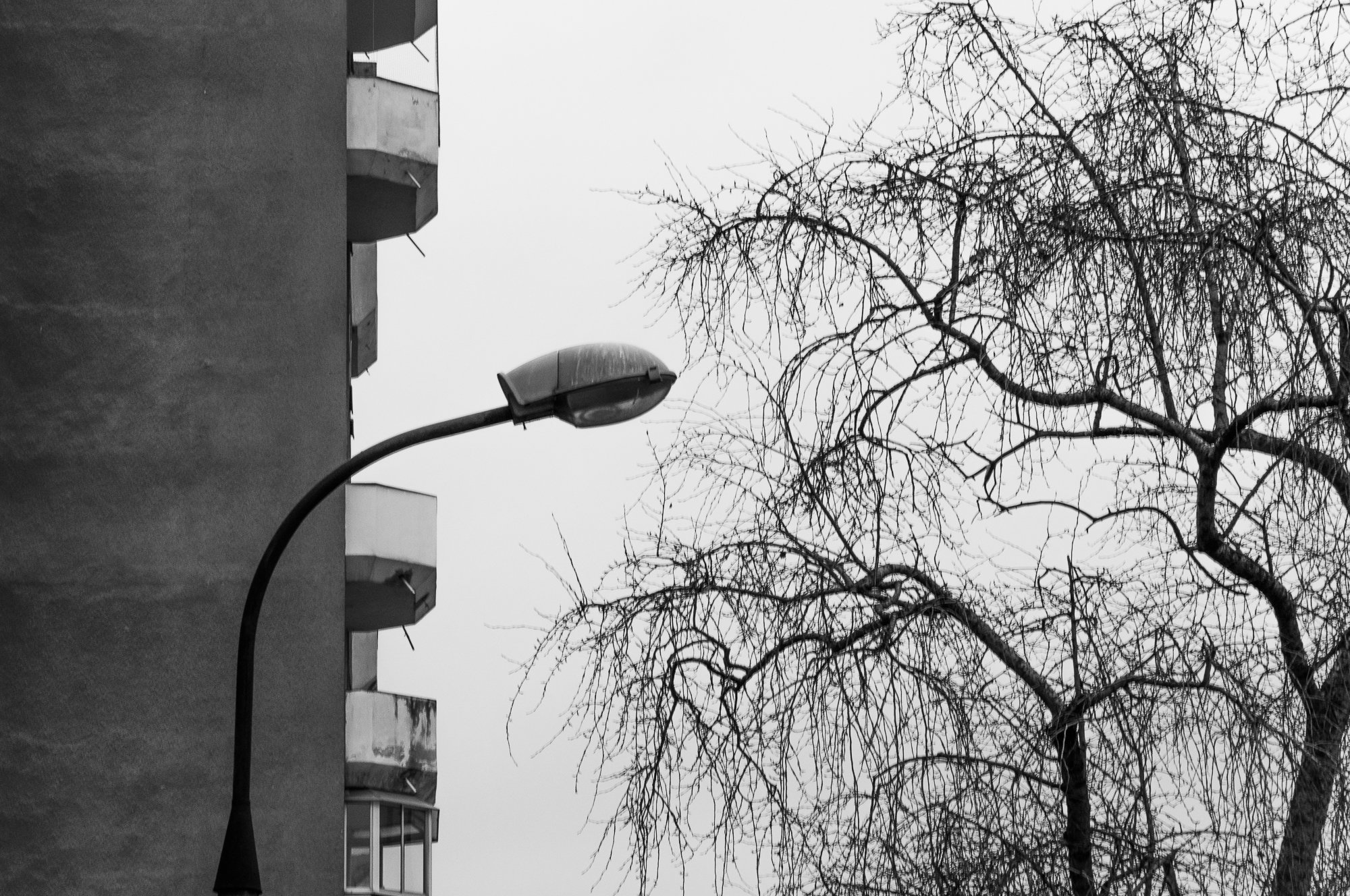 Adam Mazek Photography Warsaw (Warszawa) 2018. Post: "How to manage your time efficiently?" Perspective. Street lamp and trees.