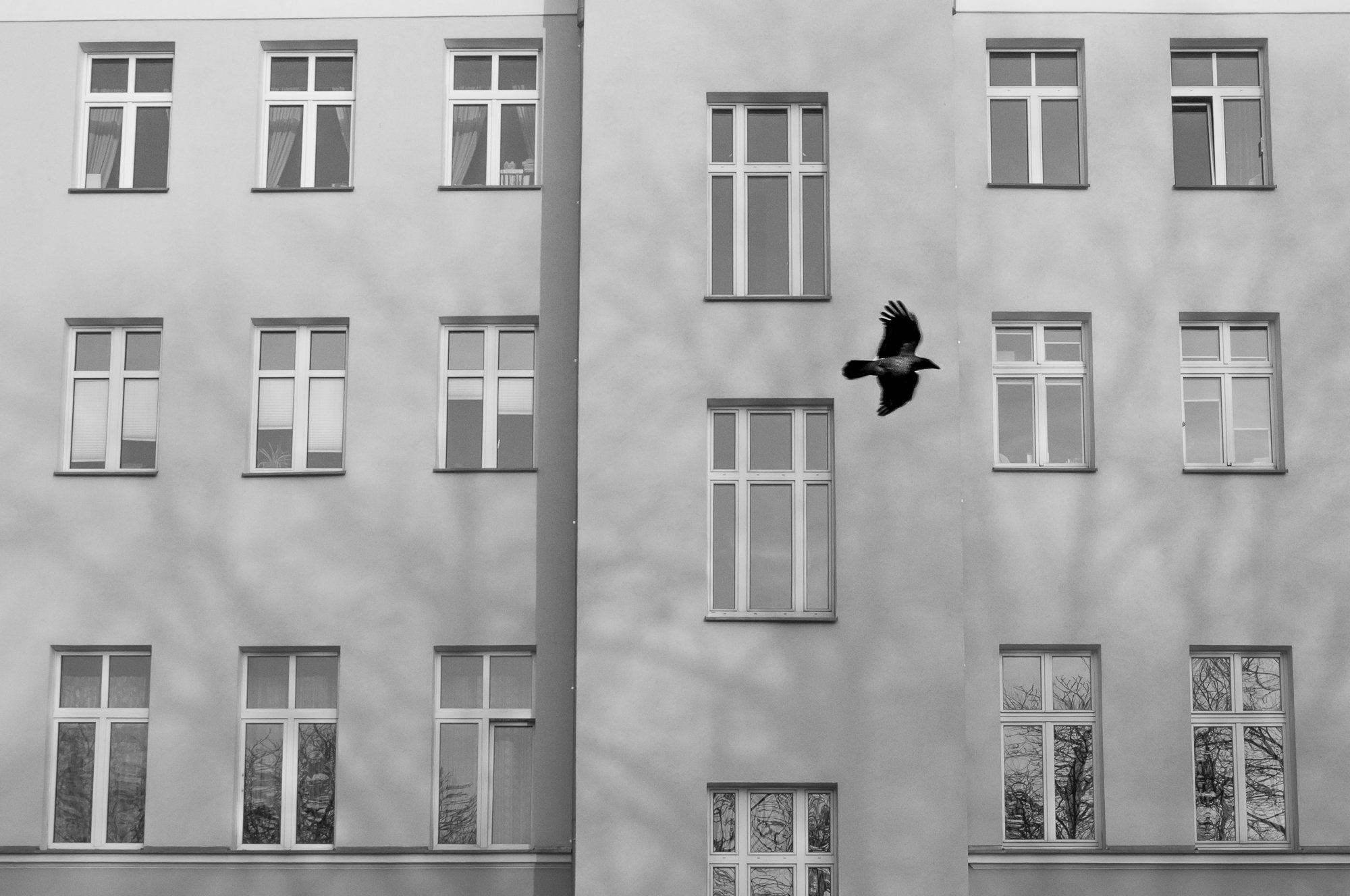 Adam Mazek Photography Warsaw (Warszawa) 2017. Post: "About "Diaries." Minimalism. Flying bird.