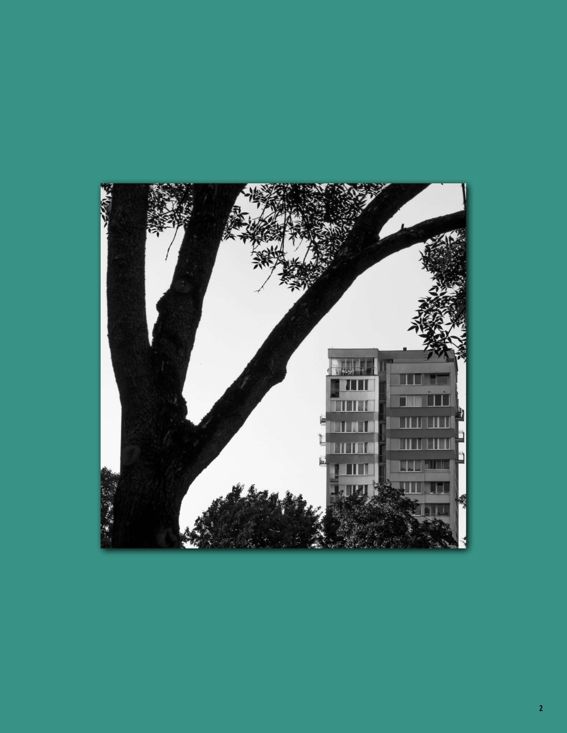 Trees, part III - Adam Mazek Photography - Official Website
