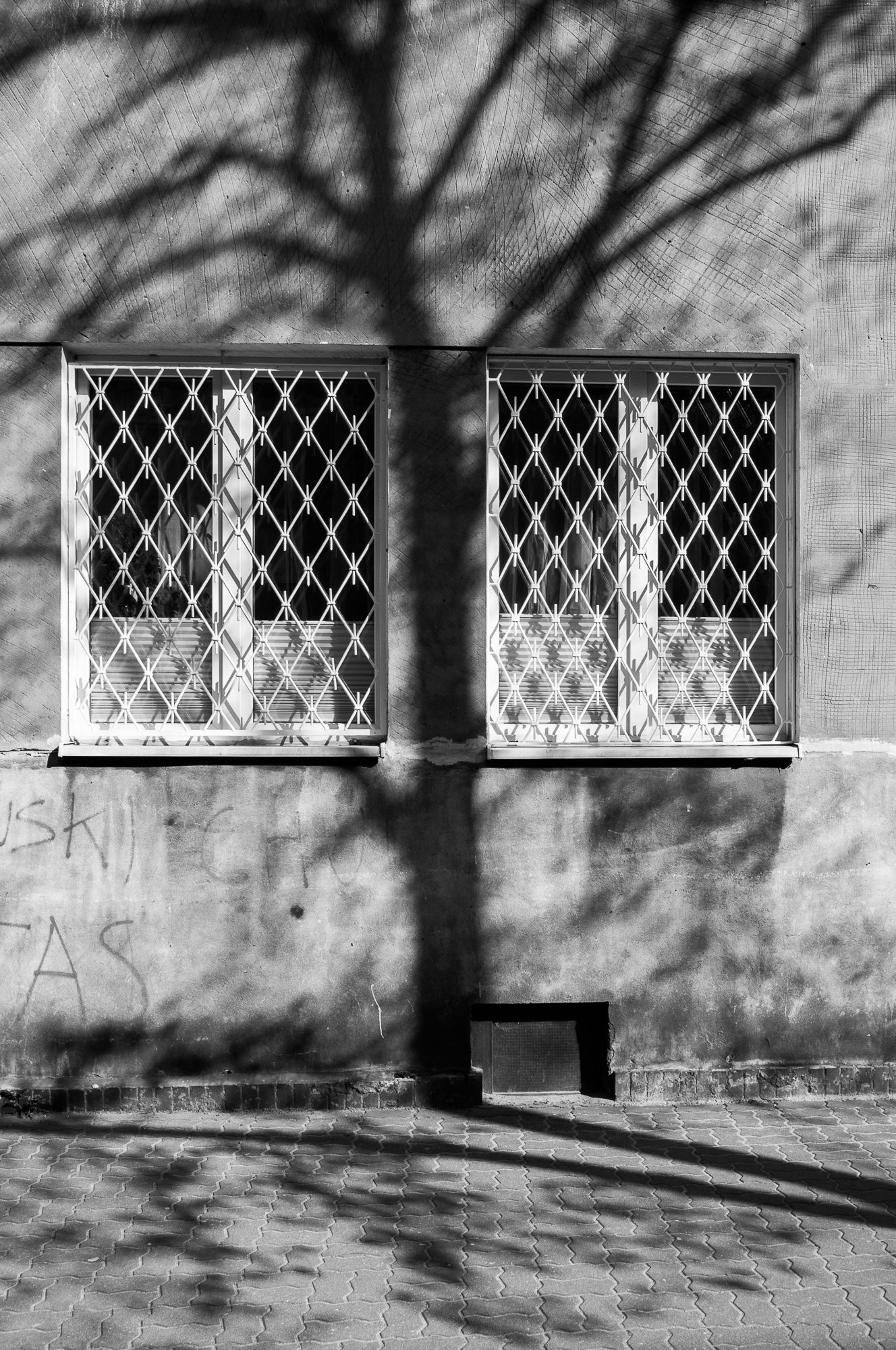 Adam Mazek Photography Warsaw (Warszawa) 2017. Post: "Endorphins." Minimalism.. Windows and the shadow of the tree.