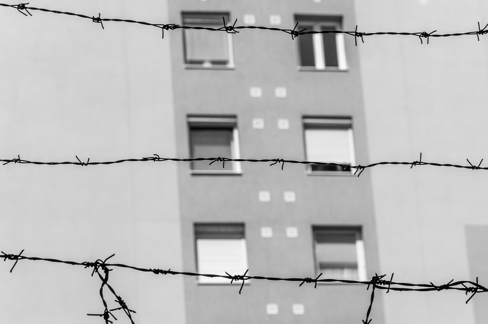 Adam Mazek Photography Budapest (Hungary) 2018. Post: "Hunting." Minimalism. Wire fence and windows.