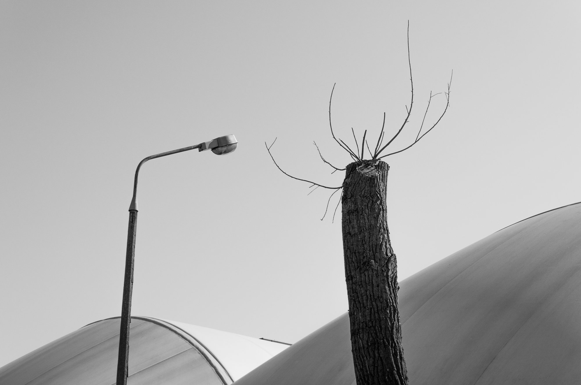 Adam Mazek Photography Warsaw (Warszawa) 2019. Post: "The way of seeing." Minimalism. Street lamp and strange tree.