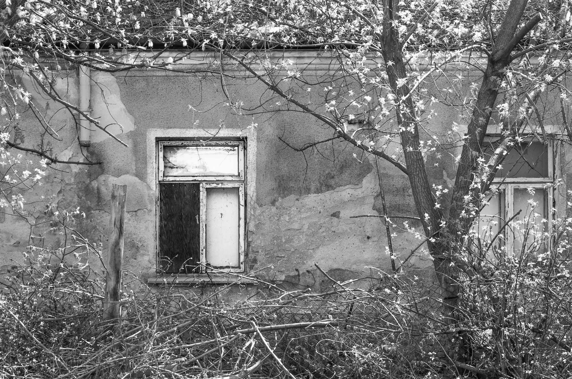 Adam Mazek Photography Warsaw (Warszawa) 2019. Post: "Being a part of the history of art." Minimalism. Window.