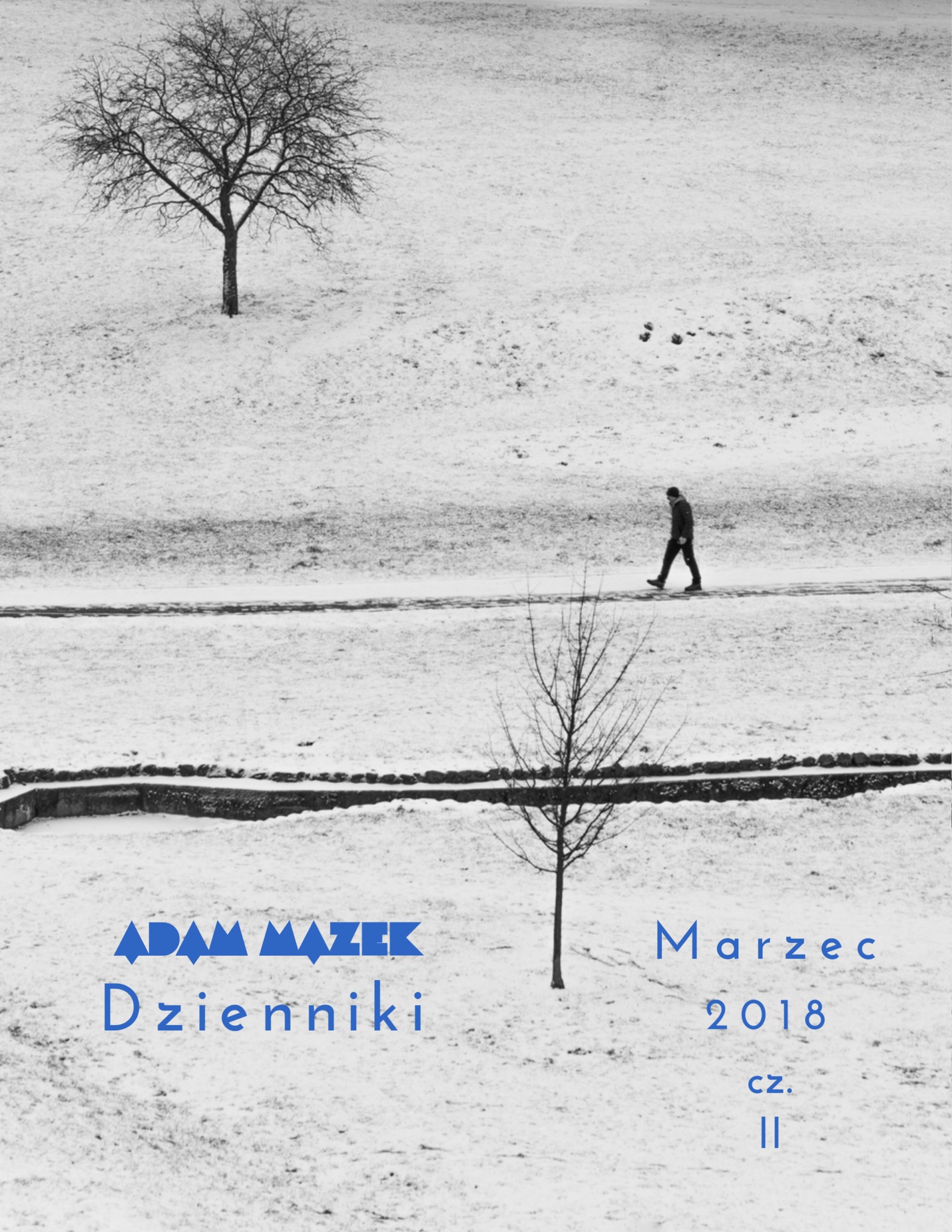 Adam Mazek Photography 2020. Post: "Dzienniki 03.2018 cz.II" Mini e-book. Cover of the Polish edition. Okładka polskiej edycji. Featured image.