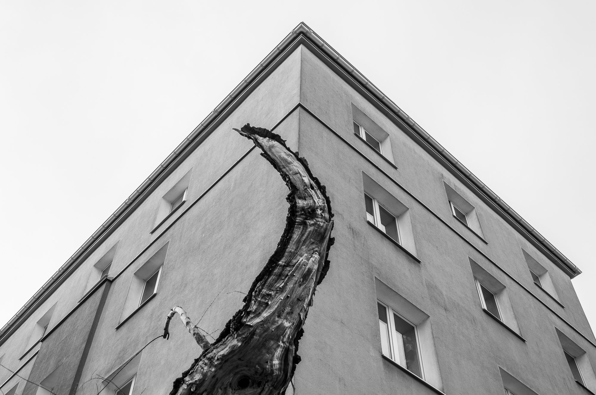 Adam Mazek Photography Warsaw (Warszawa) 2020. Post: "Dangers of using applications." Minimalism, part 32. Perspective.