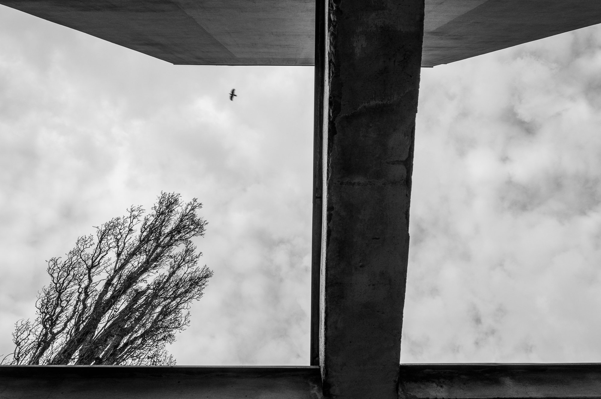 Adam Mazek Photography Warsaw (Warszawa) 2019. Post: "Beksinski's paintings." Minimalism. Perspective.