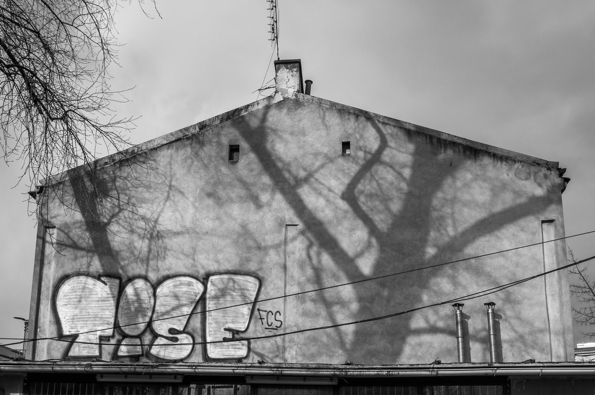 Adam Mazek Photography Warsaw (Warszawa) 2019. Post: "Weaknesses." Minimalism. Shadow of the tree and graffiti.