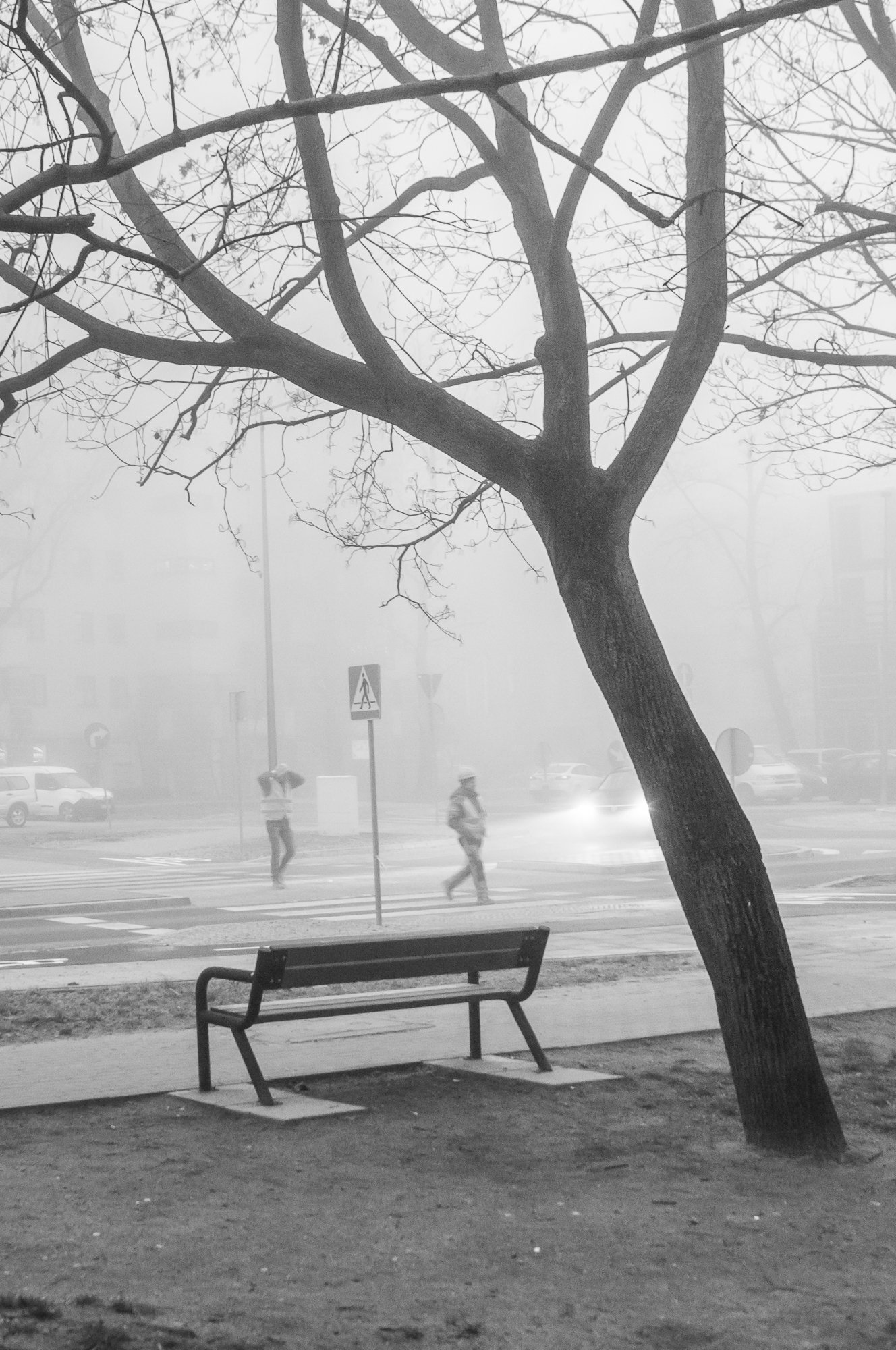 Adam Mazek Photography Warsaw (Warszawa) 2020. Post: "Overloaded by information." Minimalism. Tree. Fog.