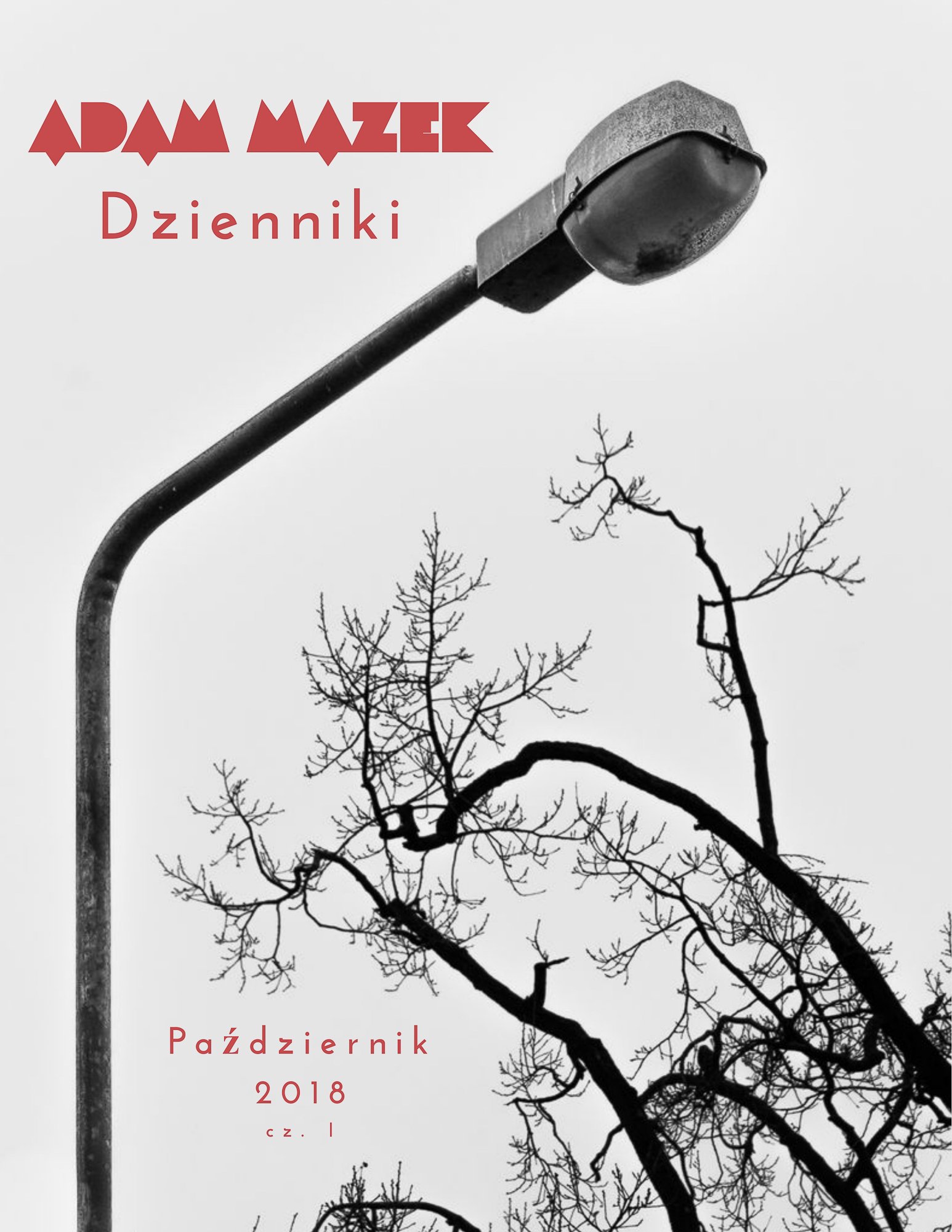 Adam Mazek Photography 2021. Post: "Dzienniki 10.2018 cz.I" E-book. Cover of the Polish edition. Okładka polskiej edycji. Featured image. Speak aloud.