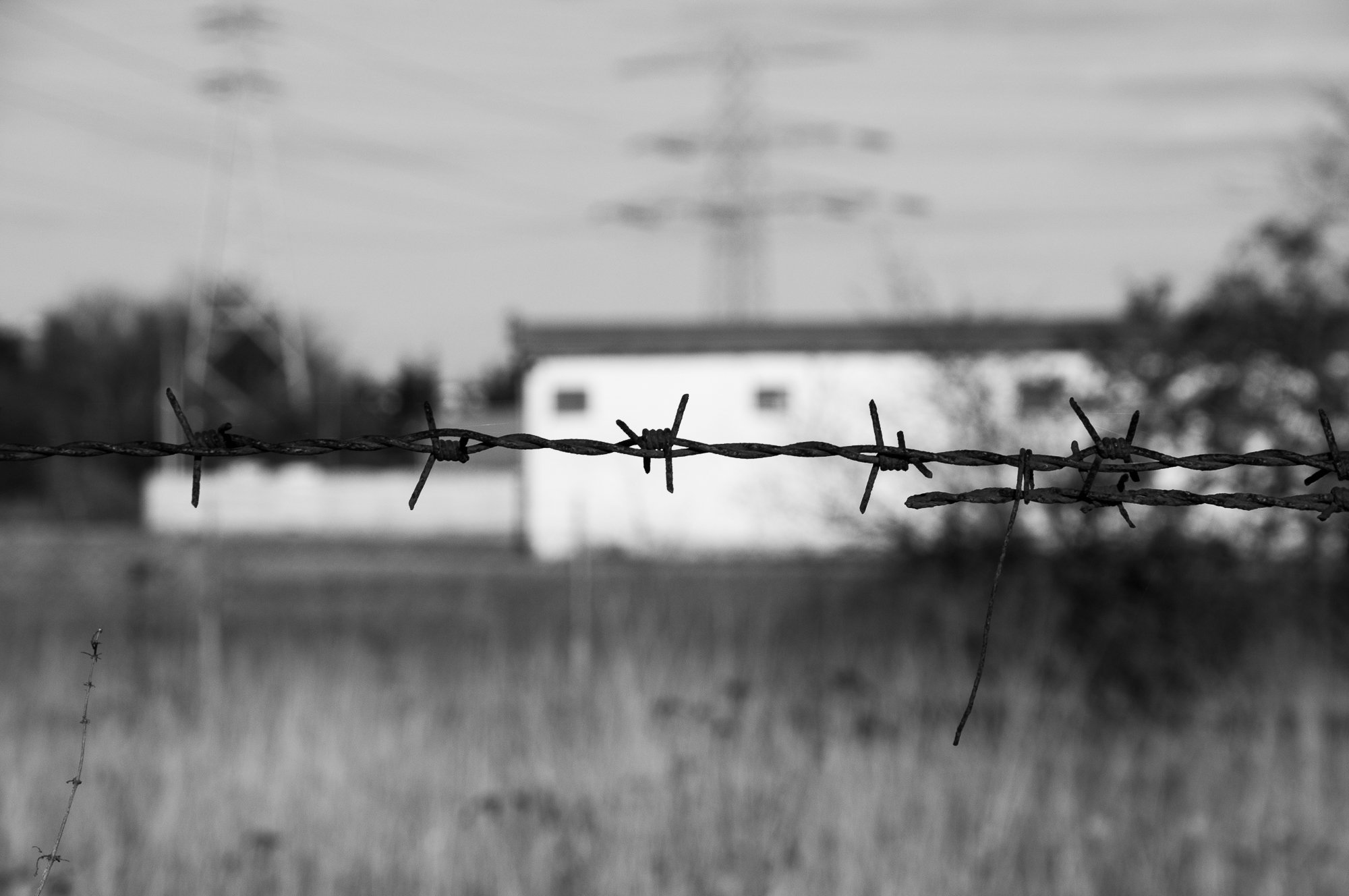 Adam Mazek Photography Warsaw 2021. Post: "Healthy skepticism." Minimalism. Barbed wire.
