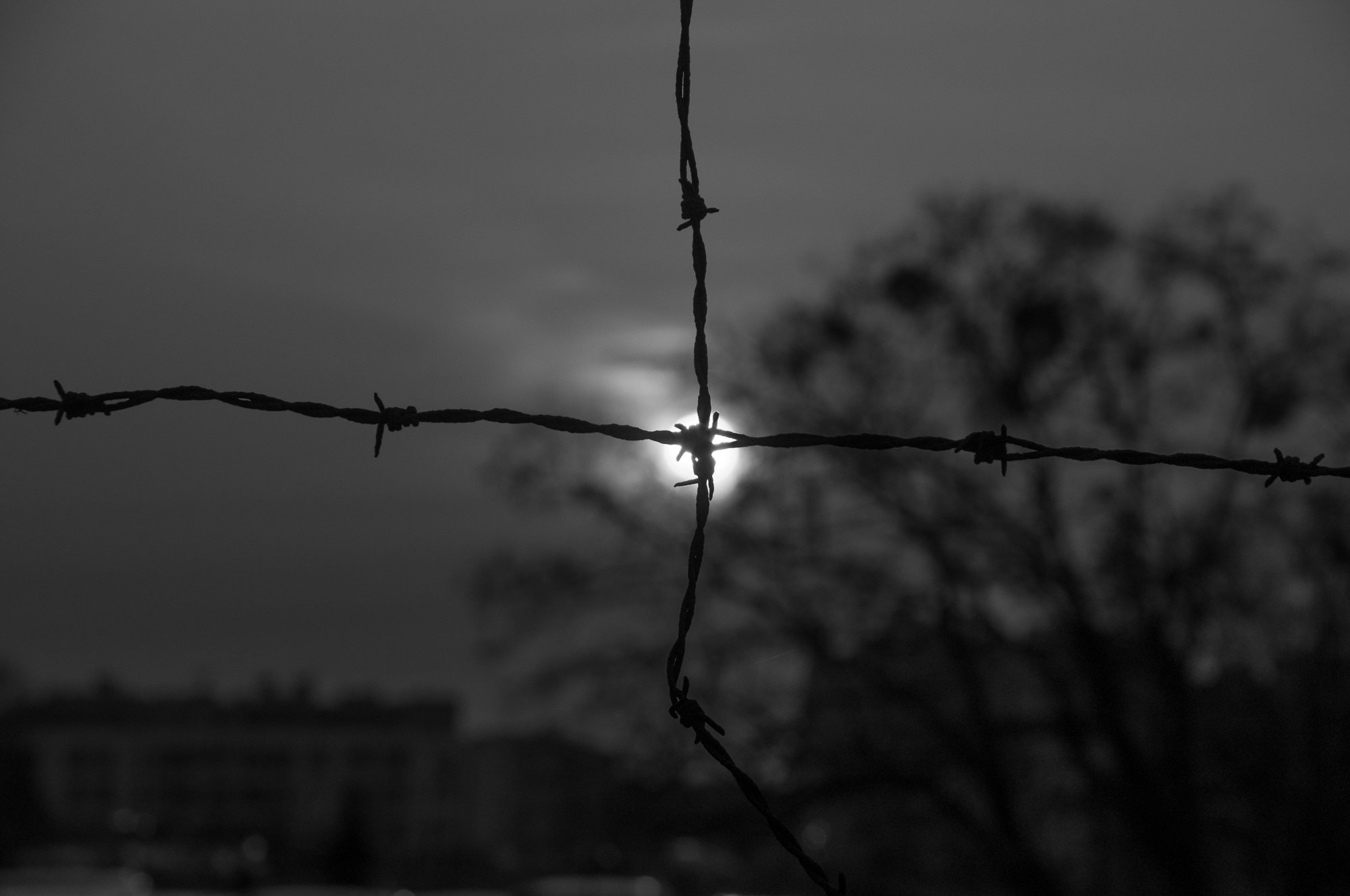 Adam Mazek Photography Warsaw 2021. Post: "About the Universe." Minimalism. Sund and barbed wire.