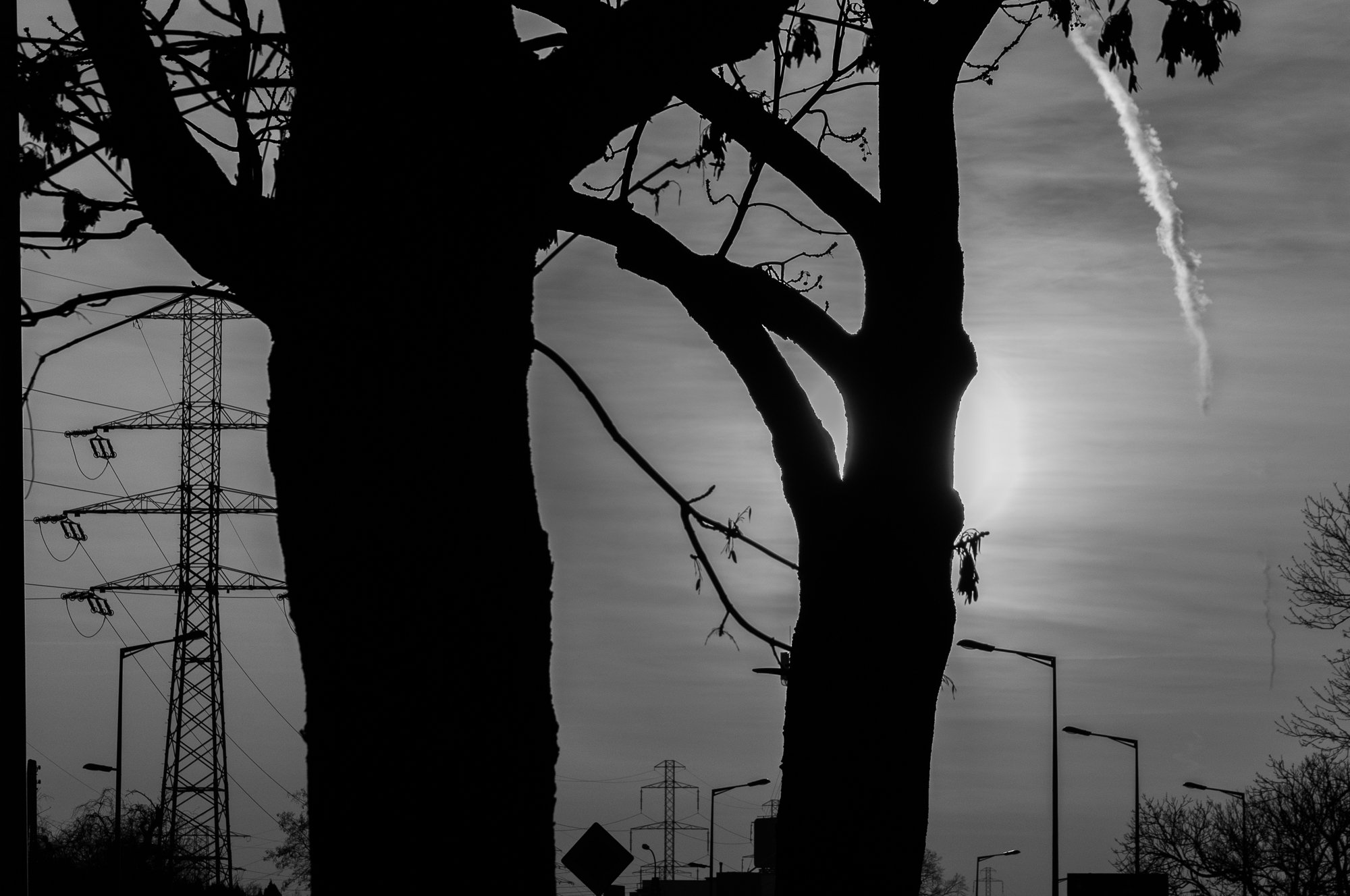 Adam Mazek Photography Warsaw 2021. Post: "Cold showers." Minimalism. Sun behind tree.