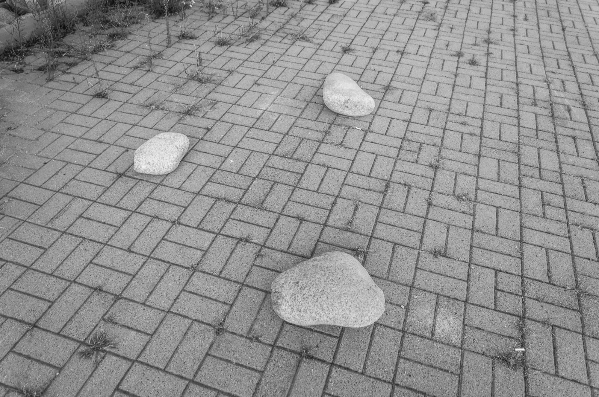 Adam Mazek Photography 2021. Warsaw Street Photography. Post: "Inspired by Hitchcock.” Minimalism. Stones.
