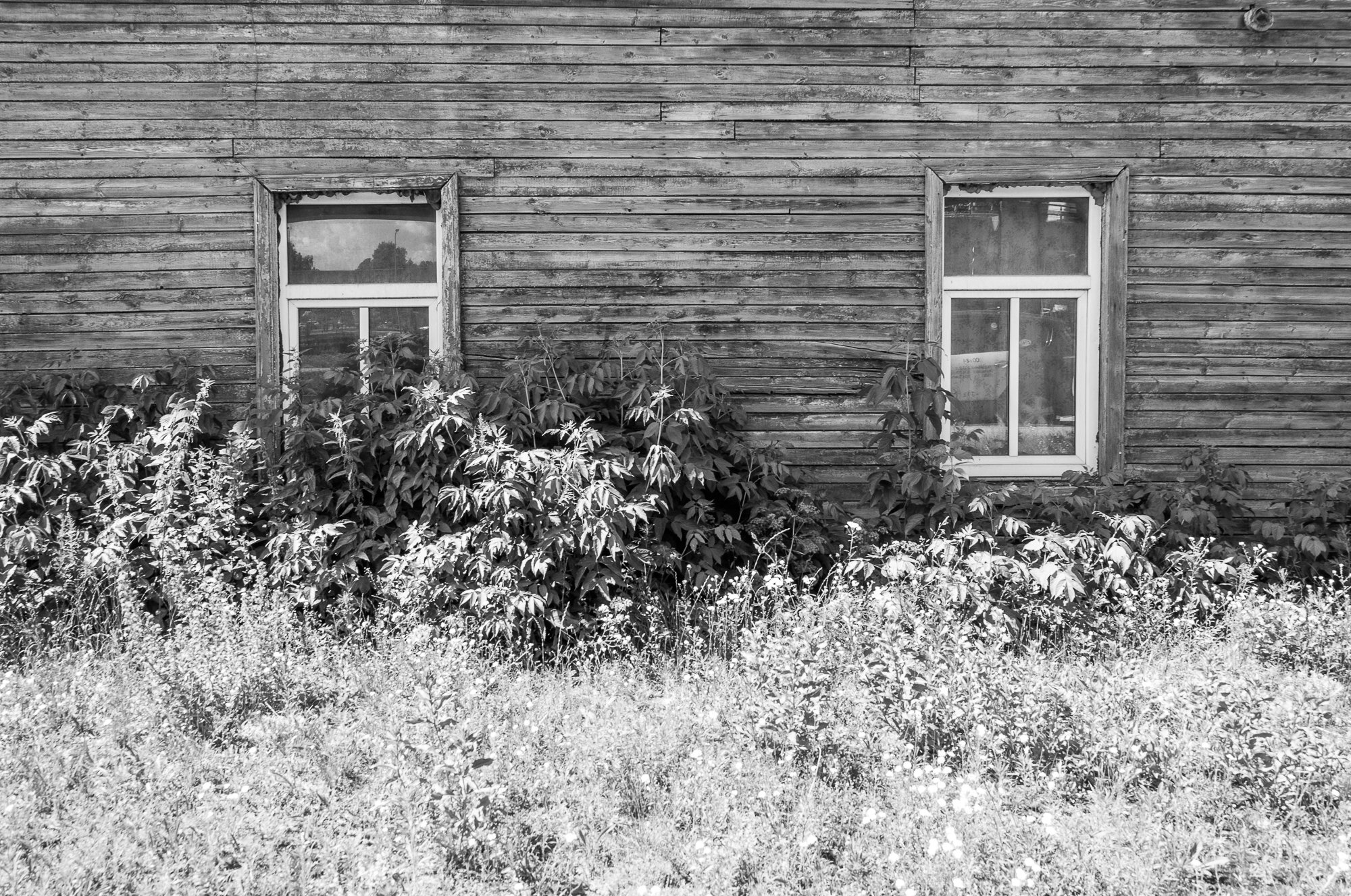 Adam Mazek Photography 2021. Post: "Inspired by Hitchcock." Minimalism. Riga street photography. Windows.