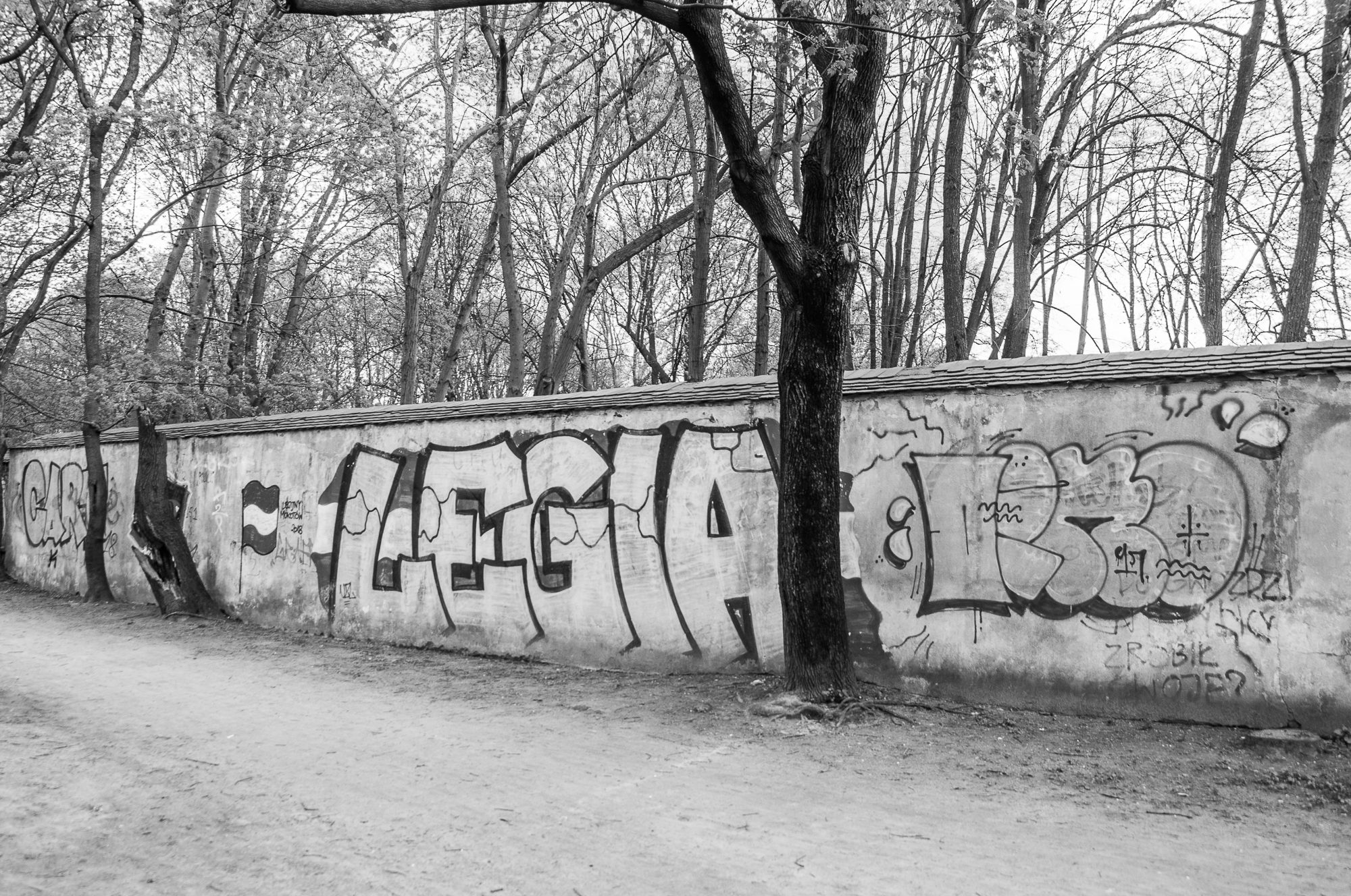 Adam Mazek Photography 2022. Warsaw Street Photography. Post: "Fight for yourself, but do not fight with others." Minimalism. Tree and graffiti.