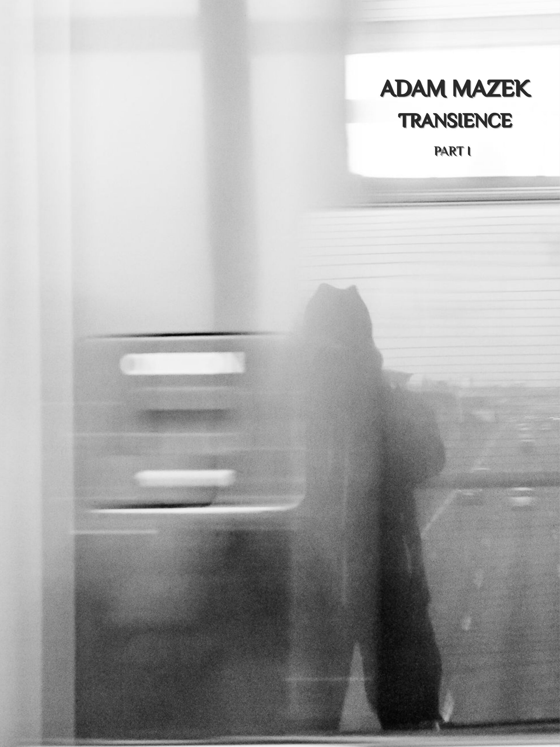 Adam Mazek Photography 2023. Post: "Transience, part I." E-book. Featured image. PDF. Warsaw Street Photography.