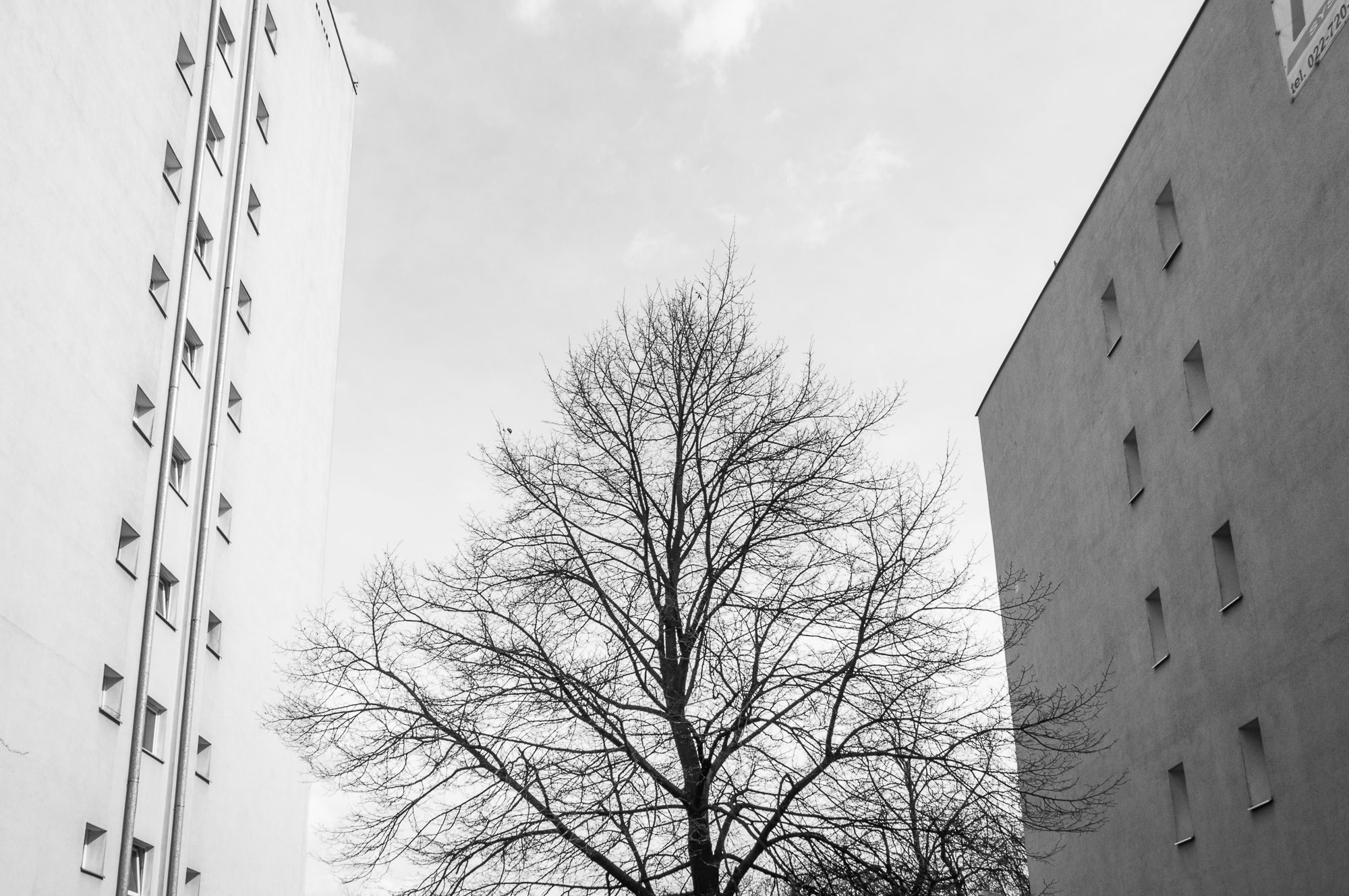Adam Mazek Photography 2022. Warsaw Street Photography. Post: "Consistency." Minimalism.