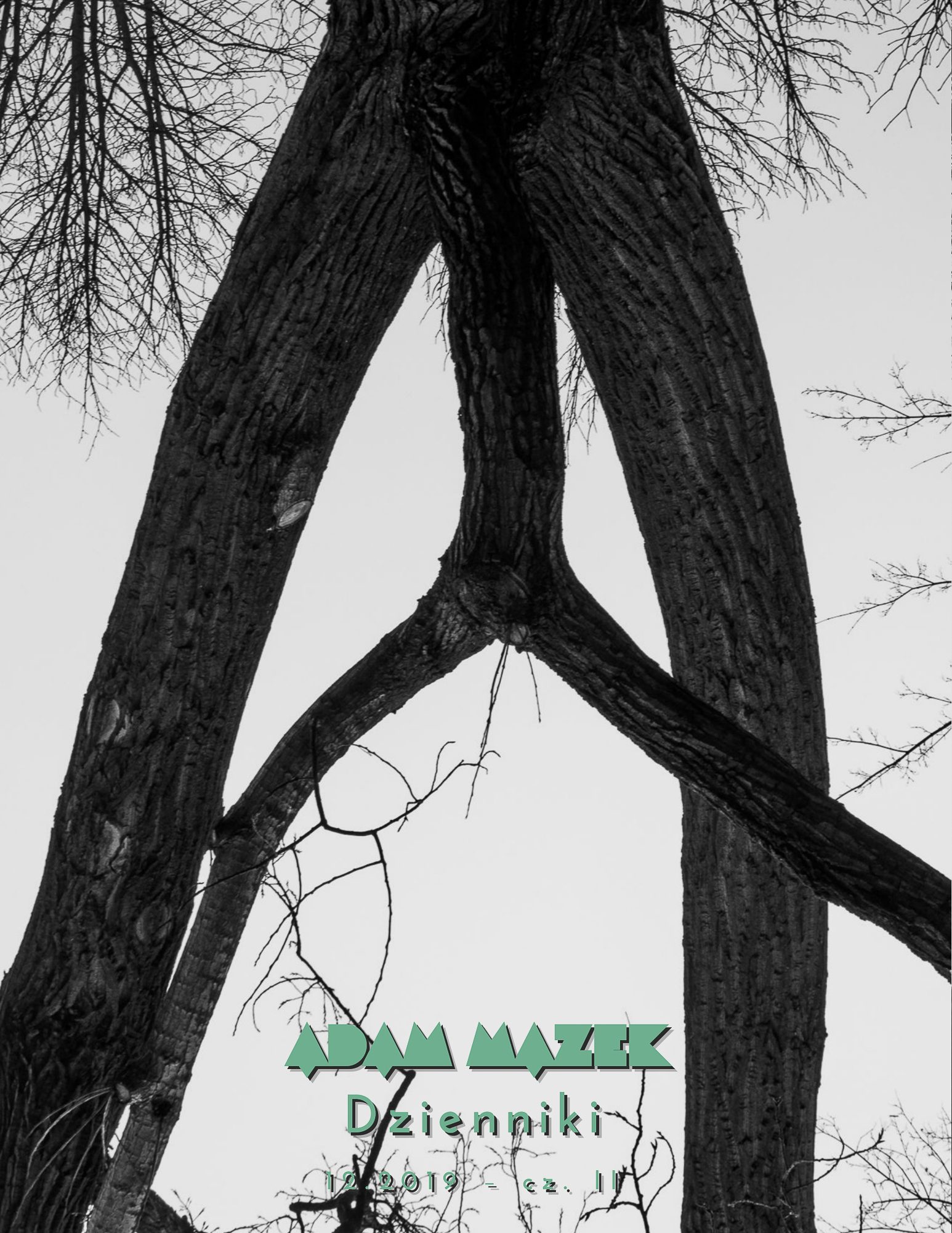 Adam Mazek Photography 2023. Post: "Dzienniki 12.2019 cz. II" E-book. Cover of the Polish edition. Okładka polskiej edycji. Featured image. Warsaw Street Photography.