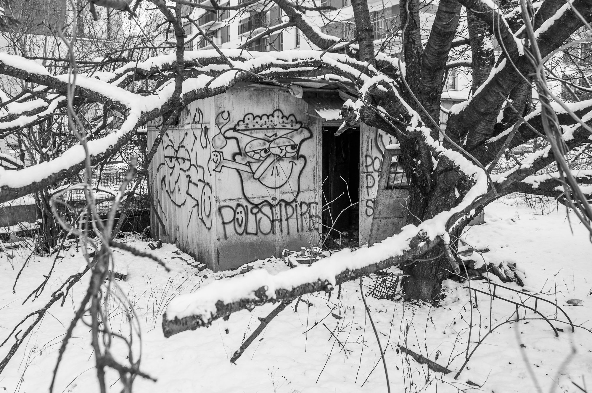 Adam Mazek Photography 2022. Warsaw Street Photography. Post: "Am I getting older?" Minimalism. Graffiti. Polish pipe. Tree.