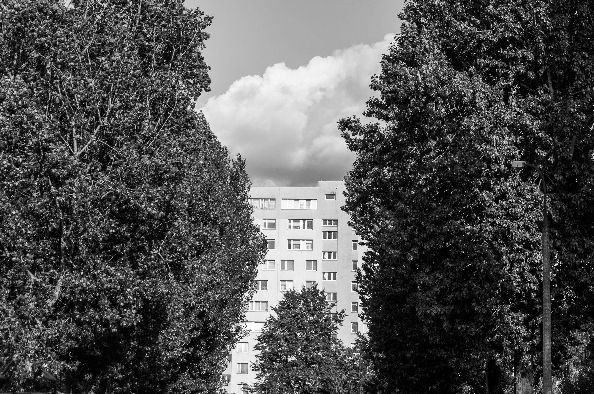 Adam Mazek Photography 2022. Warsaw Street Photography. Post: "Quantity over quality?" Minimalism. Living in Poland.