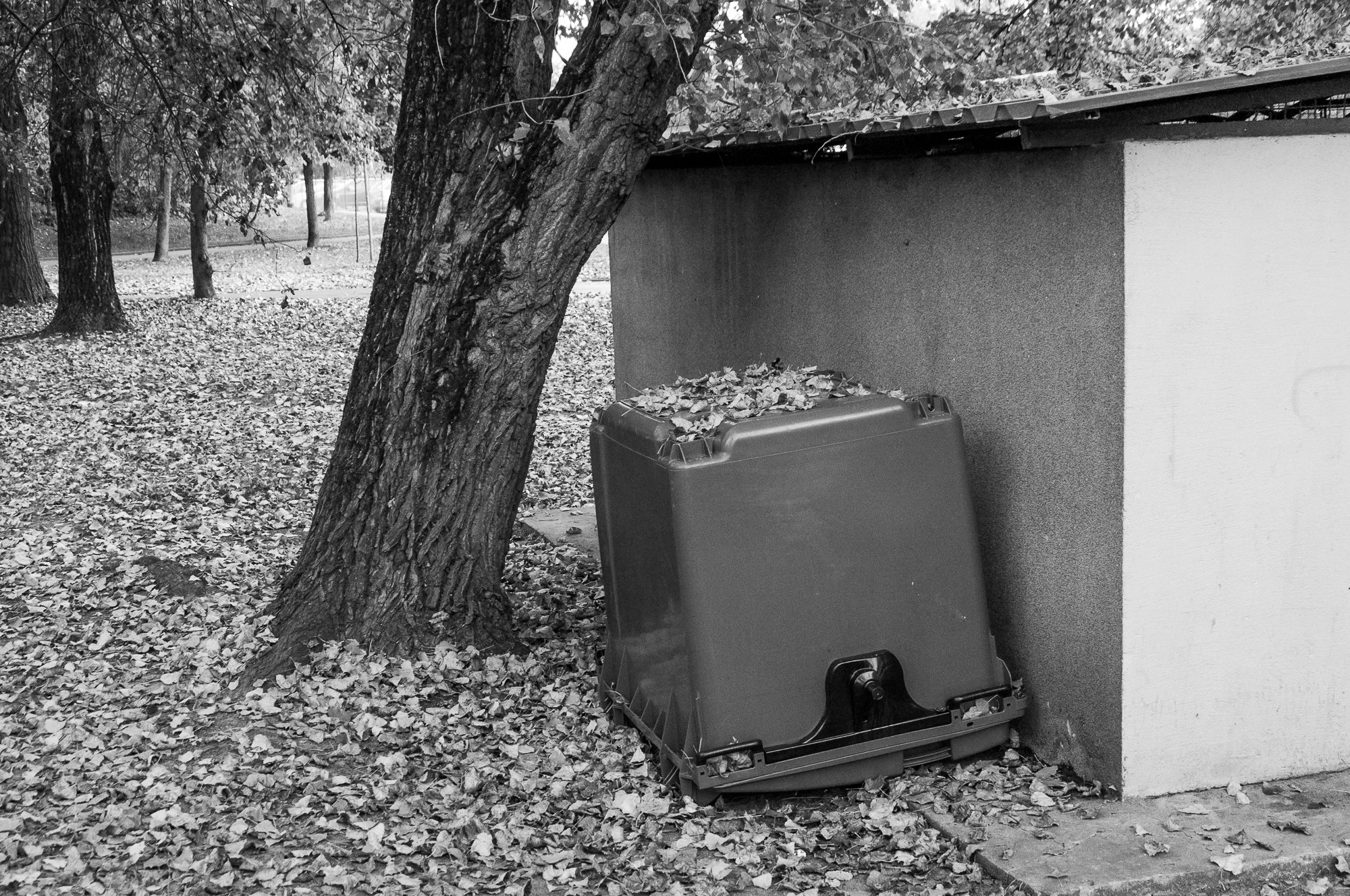 Adam Mazek Photography 2018. Warsaw Street Photography. Post: "Genius and stupidity know no boundaries of time or space." Minimalism.